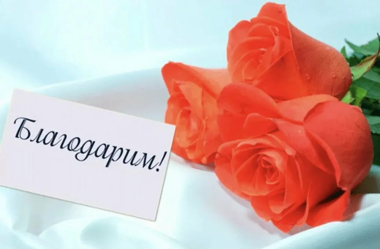 1 раз спасибо