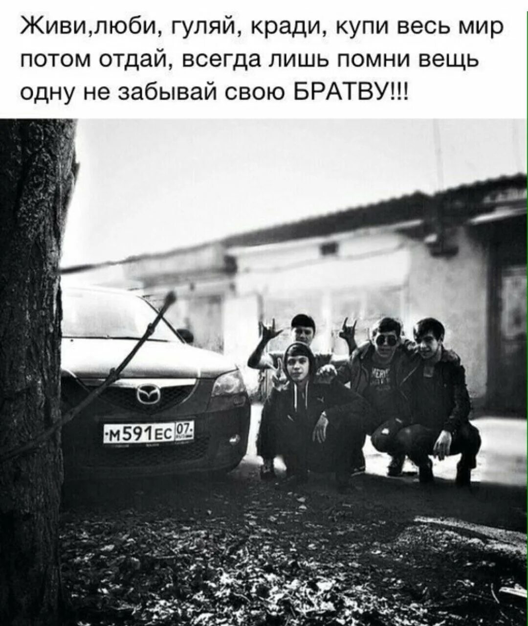 Бродягу полюбила слушать