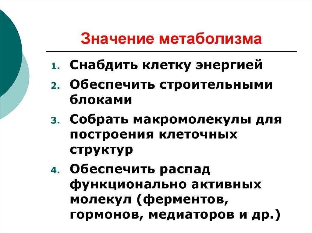 Что значит метаболическая активность. Значение метаболизма для жизнедеятельности организма. Значение обмена веществ для организма. Значение энергетического обмена.