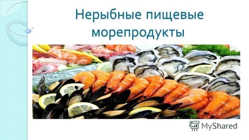 характеристика нерыбных морепродуктов