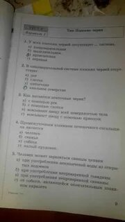 Тест по плоским и круглым червям