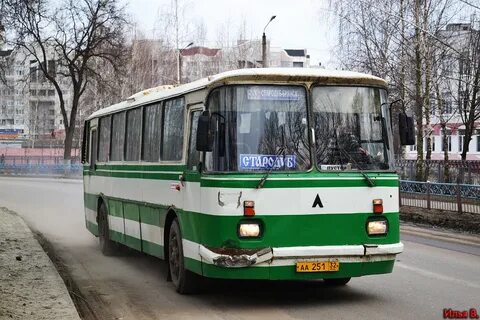 Автобус брянск стародуб
