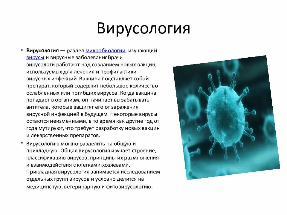 Наука изучающая вирусы. Вирусология это наука. Вирусы микробиология кратко. Вирусология микробиология. Вирусология это кратко.