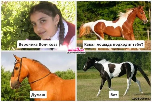 Какая кличка у лошади. Красивые имена для лошадей. Красивые имена для лошадей девочек. Клички лошадок. Клички лошадей кобыл красивые.
