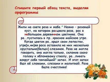 Куст розы текст