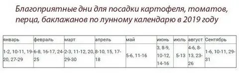 Благоприятные дни для посева помидор в мае