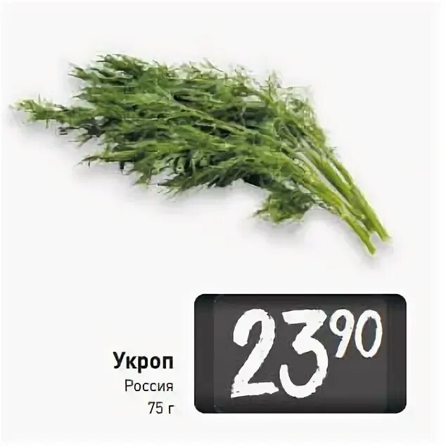 пищевая энергетическая ценность петрушка укроп. калорийность укропа. калорийность укропа. калорийность укропа. укроп калории.