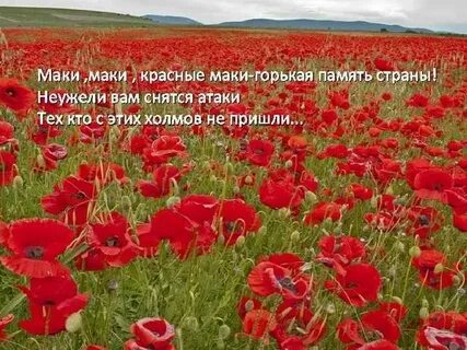 Песня простыня света мак