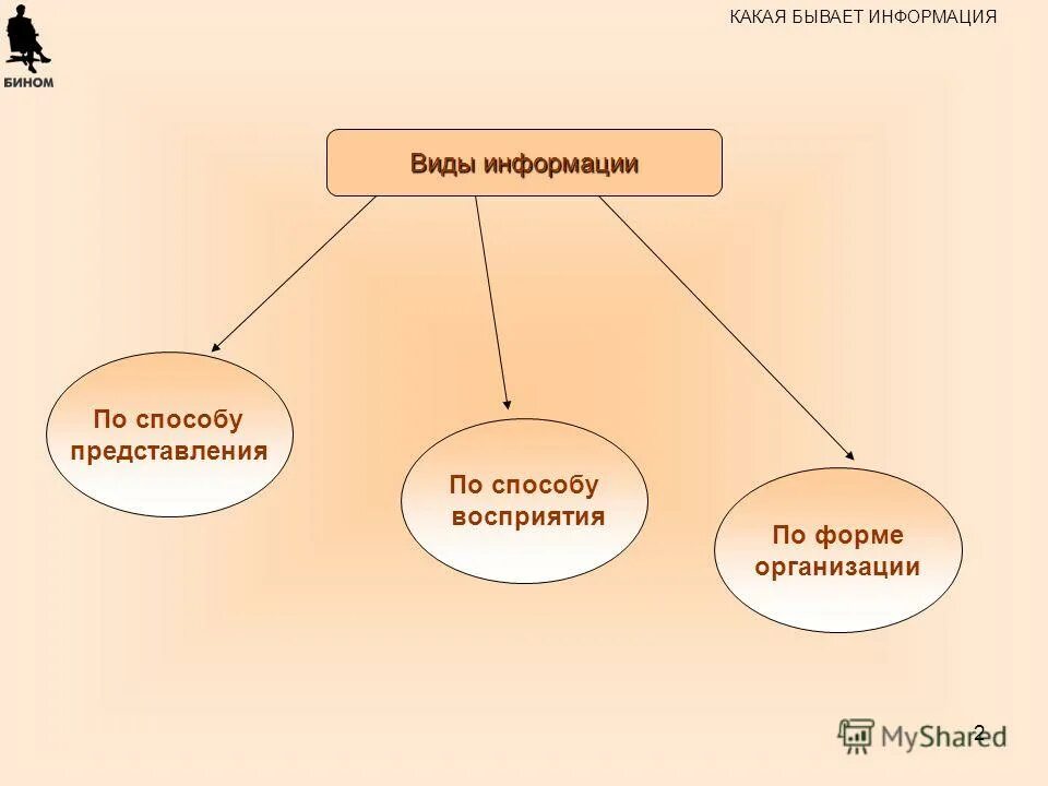 К видам информации относятся. Какая бывает информация. По форме информация бывает. Какая бывает информация по способу представления. По способу информация бывает.