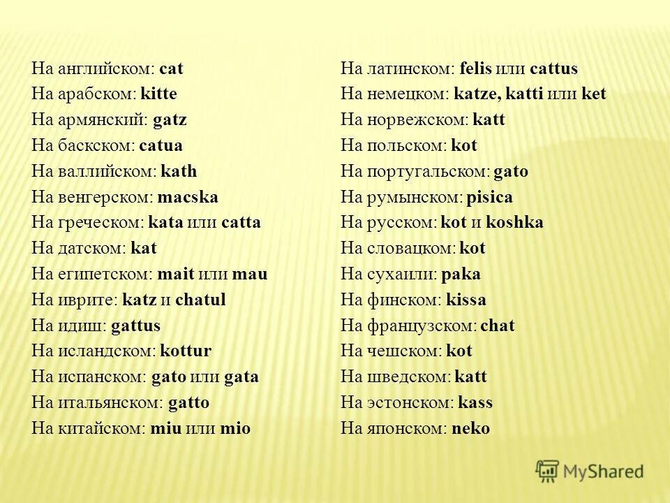 Как переводятся имена с латинского. Слово кошка на разных языках. Как позвать кота на разных языках.