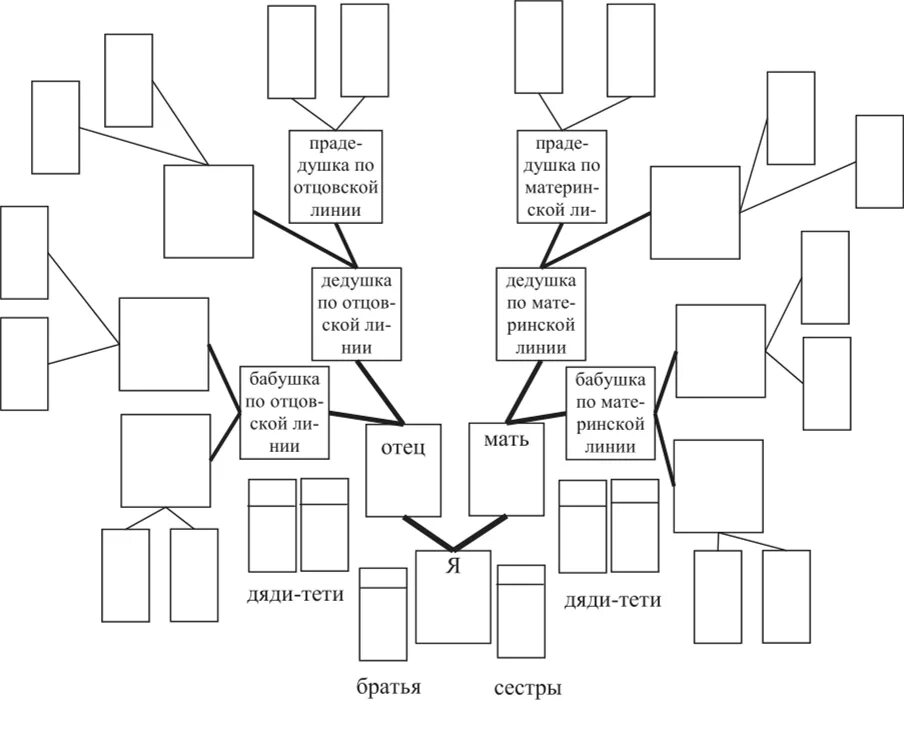 Фрагмент родословного древа семьи впр. Как составить генеалогическую схему. Как составить родословную схема. Как построить родословную схему. Родословная семьи схема с братьями и сестрами.