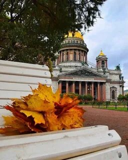 Санкт петербург экскурсии осенью