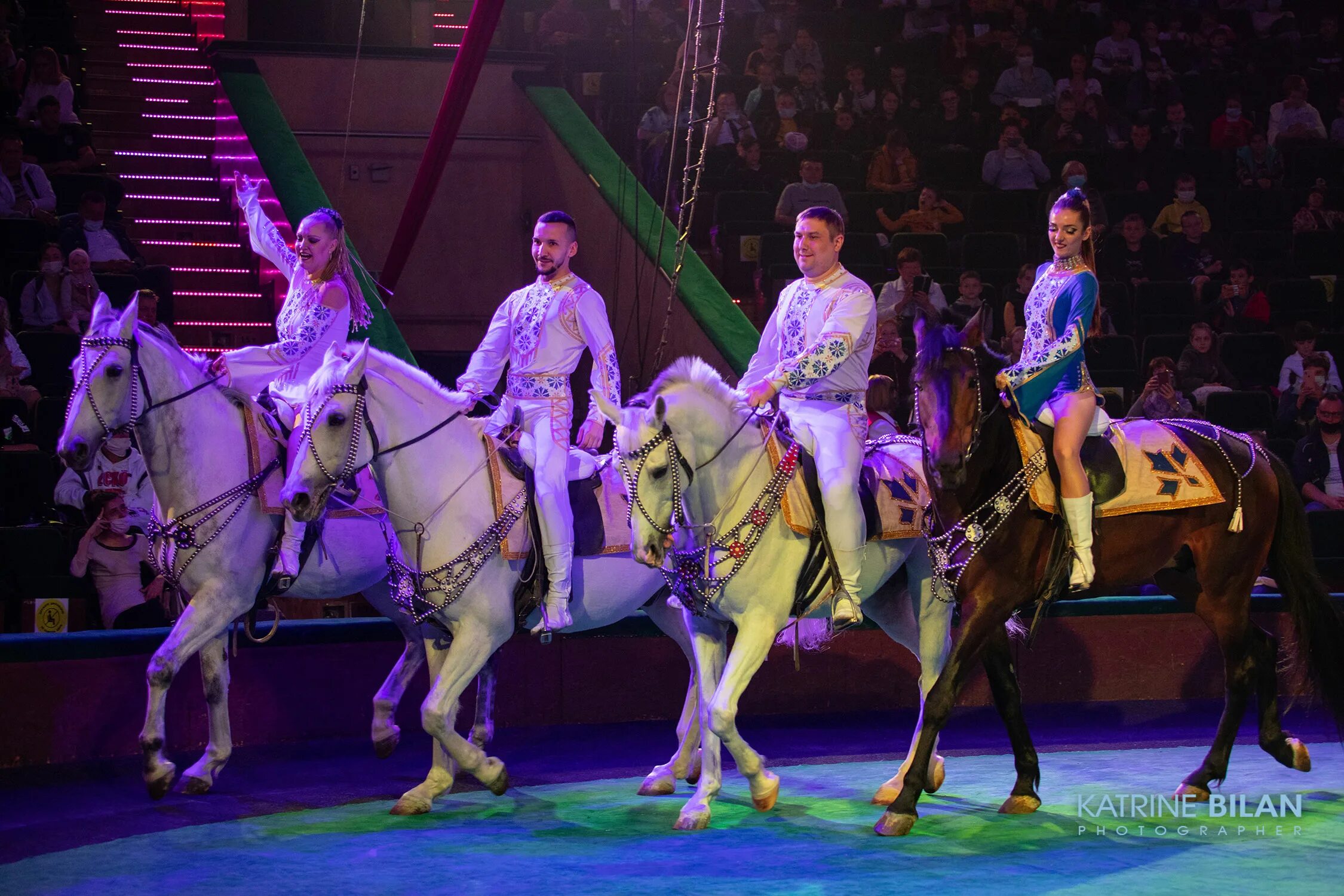 на манеже выступают. жираф багир. жираф в цирке. ижевский цирк амфитеатр 1. всадник в цирке.