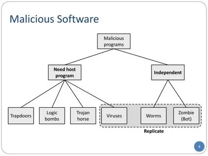 Software are the programs