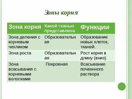Рост клетки какая ткань