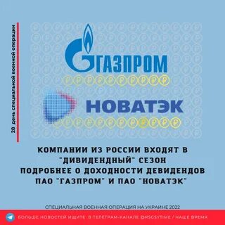 новатэк и газпром разница