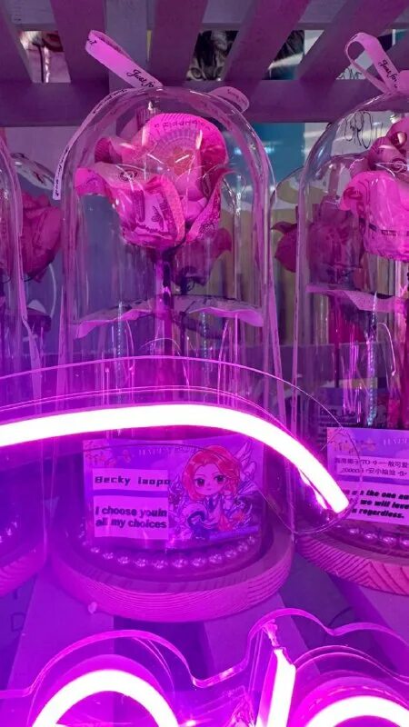 розовая теория телепередача. фрин сароча чанкимха и бекки армстронг. розовая теория лакорн. фрин сароча.