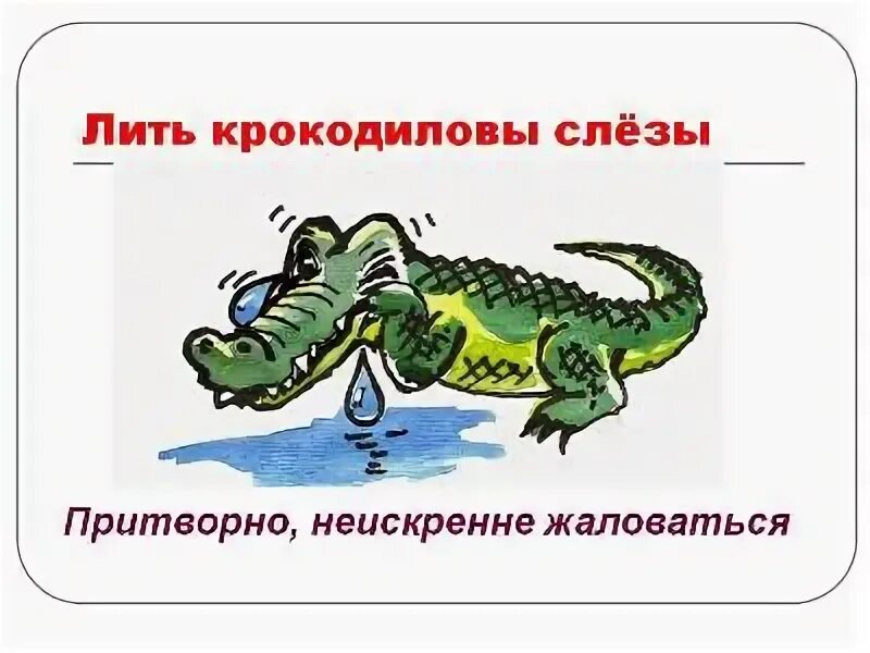 Выражение крокодиловые слезы. Крокодильи слезы фразеологизм. Крокодиловы слёзы. Фразеологизм лить Крокодиловы слезы. Крокодиловы слёзы значение фразеологизма.