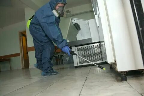 Дезинфекция и дезинсекция помещений