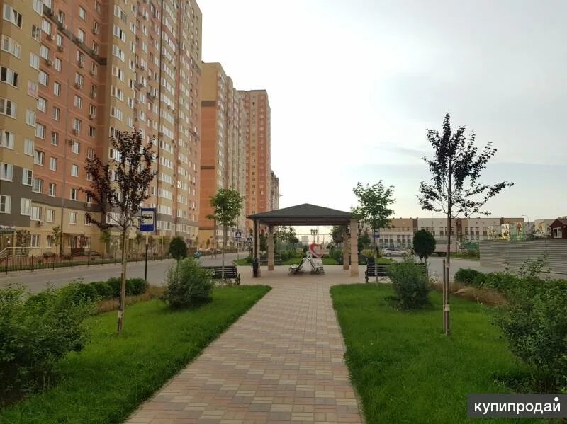 Ул героя яцкова краснодар. Ясно янино фото. Героя бочарникова 12. Героя бочарникова 12. 40 лет победы 141 краснодар.