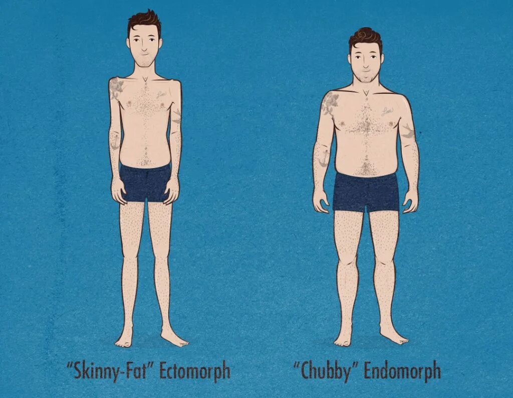 Эктоморф. Чистый эктоморф. Ectomorph Legsd. Эндоморф как похудеть. Скинни фэт что это