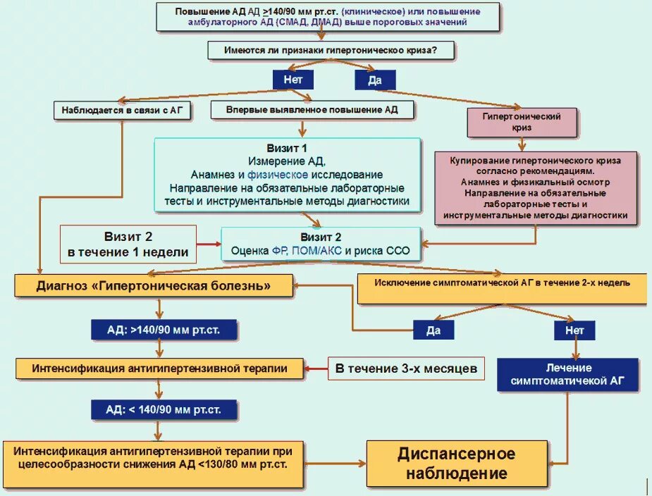 Клинические рекомендации для врачей. Гипертоническая болезнь тактика ведения больного. Тактика ведения пациентов с артериальной гипертензией. Тактика ведения пациента при гипертонической болезни. Тактика ведения пациента с гипертонической болезнью.