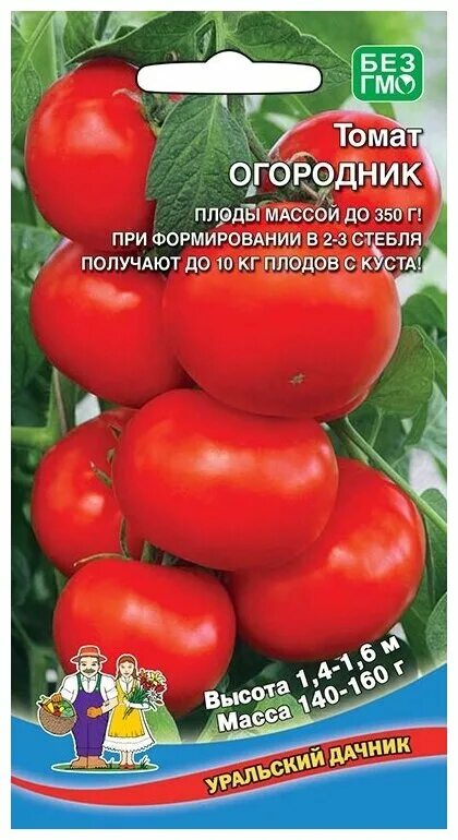 Сорт помидор огородник. Томат многоплодный 773 (уд) 20шт. Цв.п.. Томат тяжеловес Сибири 20шт/10. Семена томата огородник. Купить семена томата огородник