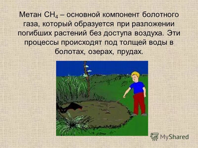 Пузыри на болоте. Основные компоненты природного газа является. Что является главным компонентом болотного газа. Основным составляющим природного газа является. Что является главным компонентом болотного газа.