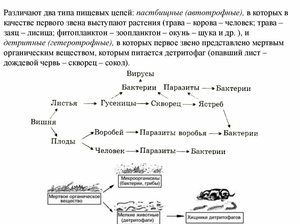 2 пастбищные цепи питания. Пастбищная цепь питания из 5 звеньев. Детритная цепь опавшая листва. Различают два типа пищевых цепей. Пищевые цепи пастбищные и детритные примеры.