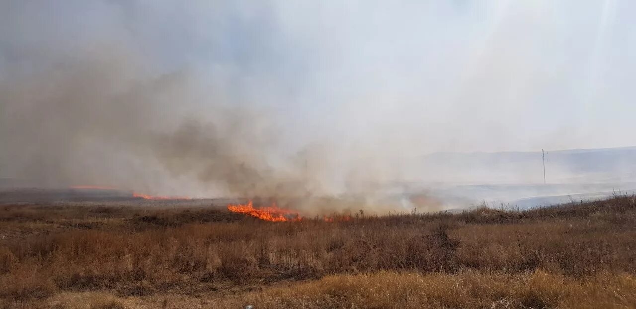 Погода бырка забайкальский край. Хара-Бырка Забайкальский край. Тасырхой Забайкальский край пожар. Село Бырка Приаргунского района Забайкальского края. Забайкальский край Борзинский район село Приозерное.