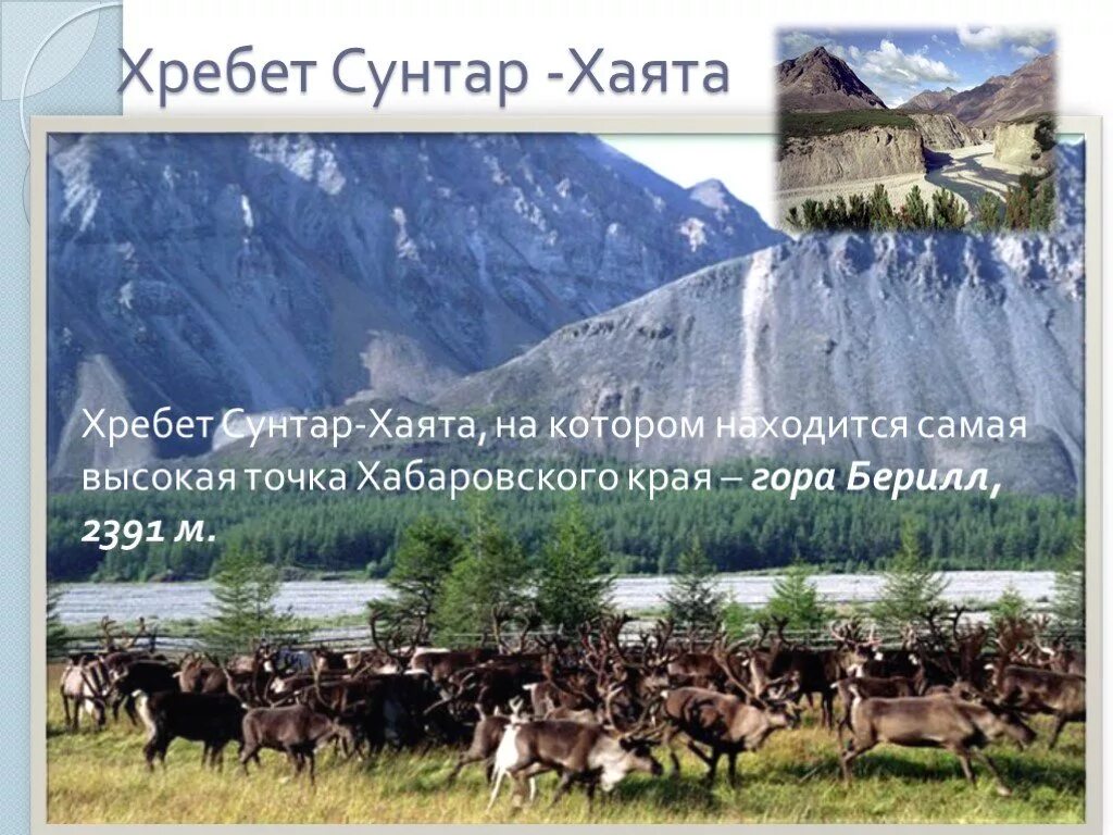 Сунтар хаята на карте. Хребет сунтар хаята складчатость. хребет сунтар-хаята наивысшая точка. гора берилл хабаровский край.