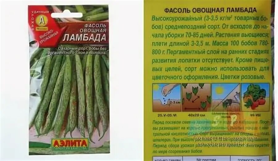 Ламбада описание сорта. Фасоль вьющаяся ламбада. фасоль овощная ламбада а. фасоль ламбада описание.