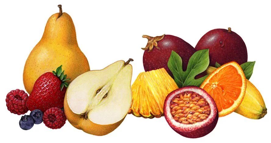 Ассорти рисунок. Еда акварелью овощи. Векторные фрукты. Фрукты для детского сада. Овощи и фрукты рисунок.