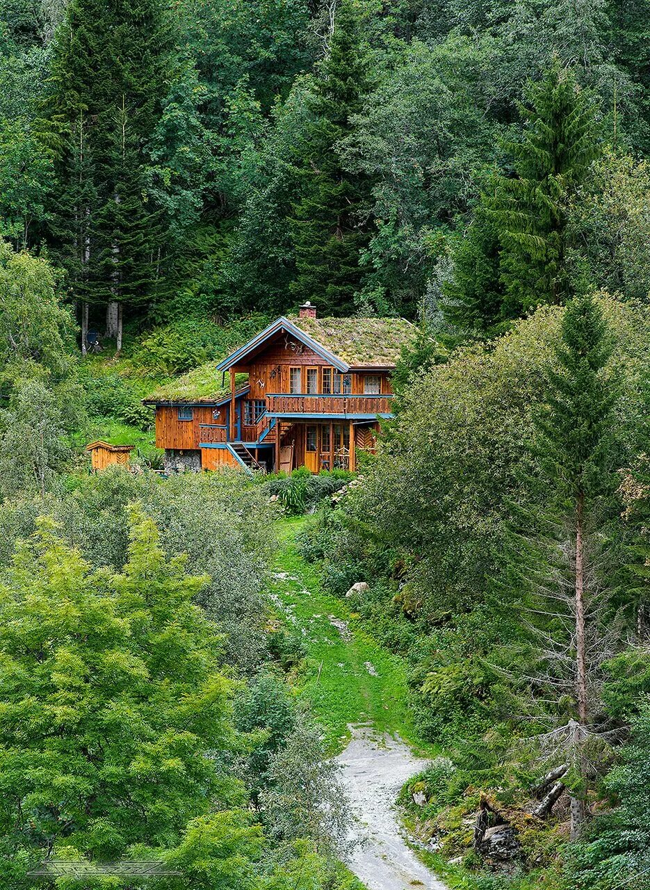 Домик в лесу летом. Шварцвальд дом в лесу. Норвегия лес Шварцвальд. Красивый домик в лесу. Домик в горах.