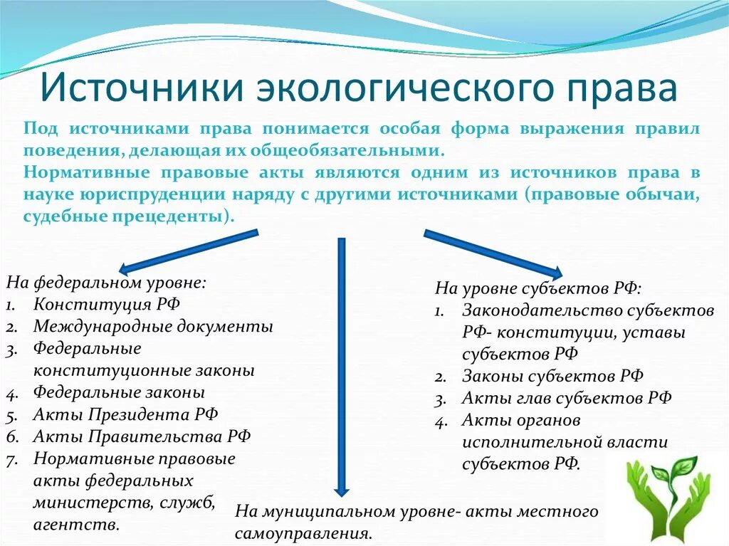 Общие экологические правоотношения