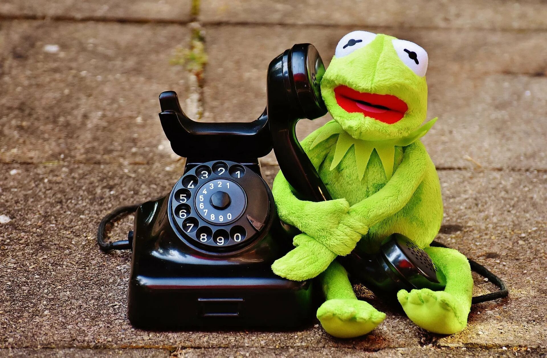 Лягушонок Кермит с телефоном. Прикольные телефоны. Прикольный мобильник. Телефон лягушка.