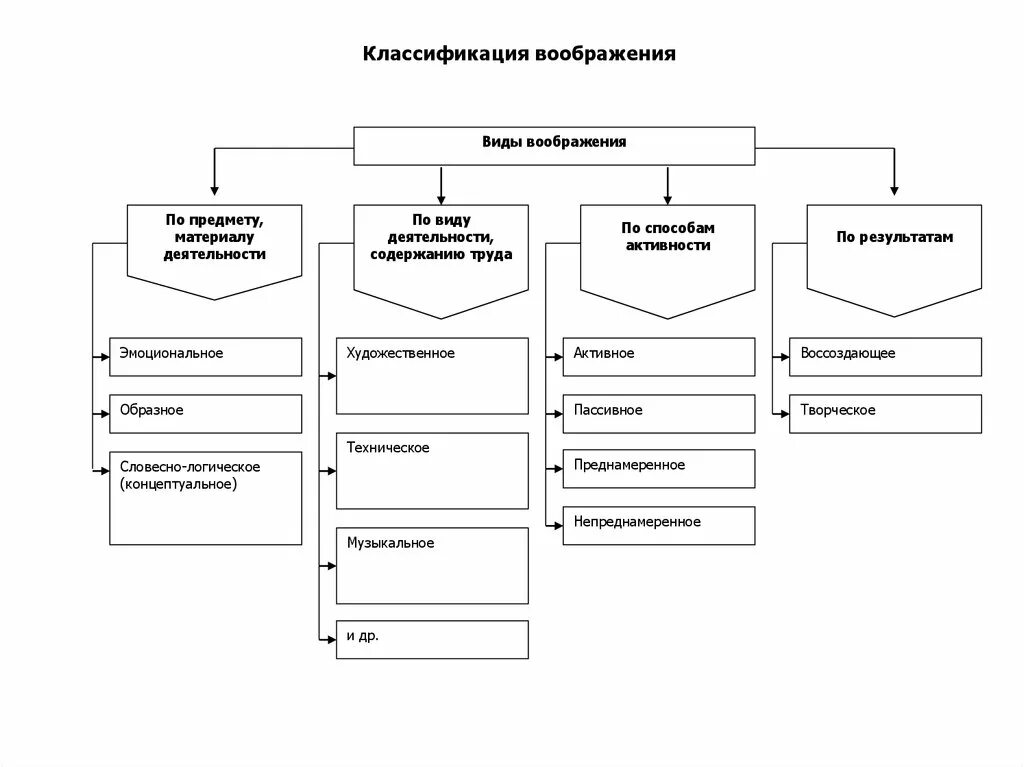Классификация воображения. Классификация воображения