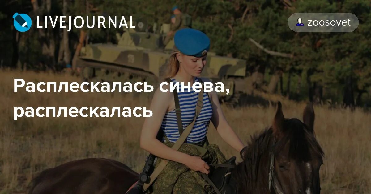 Расплескалась синева текст. Расплескалась нелегкая на бумаге под пером песня. Расплескалась нелегкая на бумаге под пером песня. Синева голубые береты текст. Расплескалась нелегкая на бумаге под пером песня.