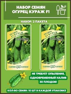 Огурцы кураж ф1 описание сорта фото отзывы