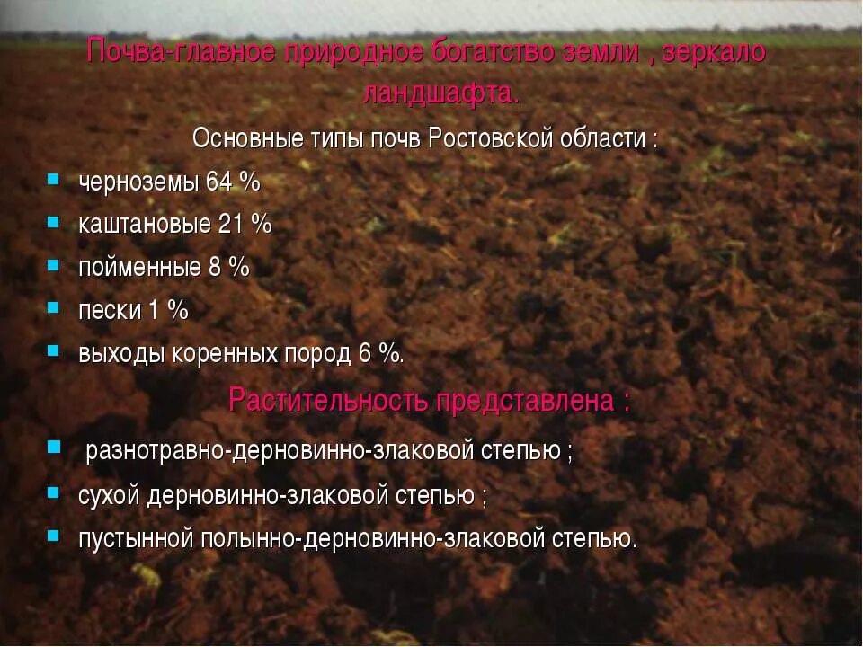 Для какой природной зоны характерны черноземы почвы. Природные ресурсы Ростовской области почва. Типы почв Ростовской области. Основные типы почв. Виды почв в Ростовской области.