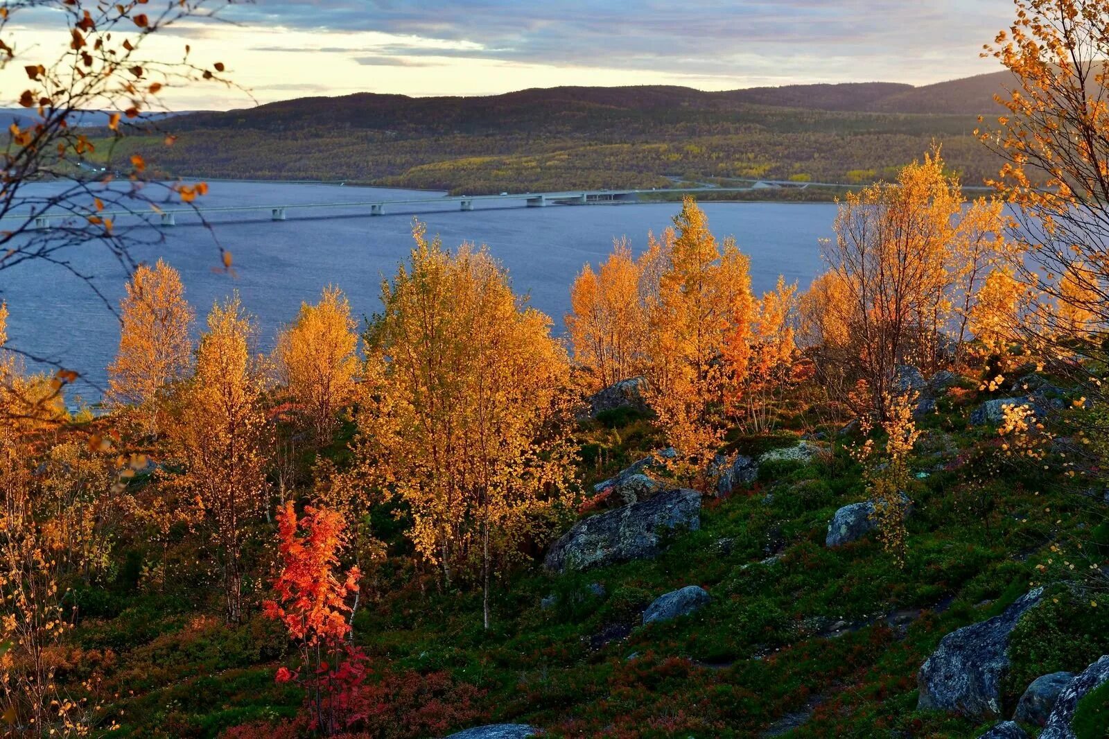 Мурманская область фотографии. Природа севера осень Мурманск сопки. Сопки Кольского полуострова. Заполярье Кольский полуостров. Сопки Мурманск осень.