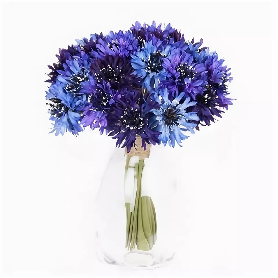 Купить васильки 74952550142. Артикул Liberty Cornflower. Красивый букет Васильков. Васильковый. Полевые цветы букет васильки.