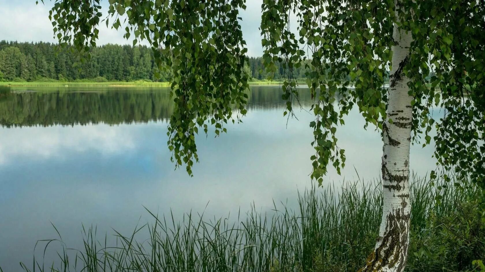 Березки водохранилище