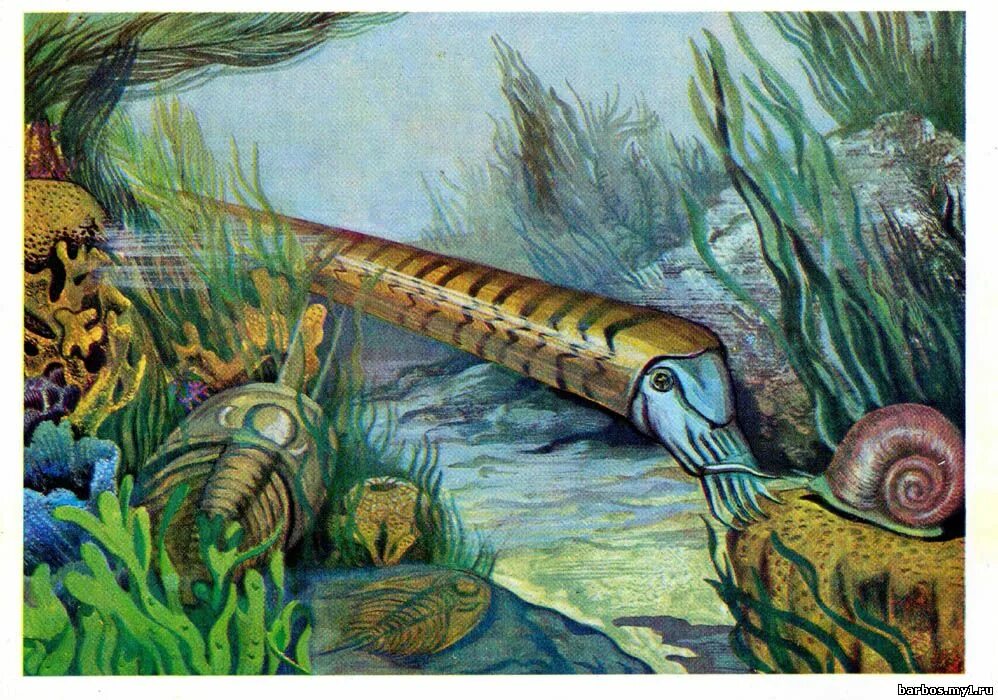 кембрийский ордовикский силурийский. силурийский период животные. палеозойская эра силурийский период таблица. силурийский девонский и пермский периоды. силурийский период палеозойской эры.