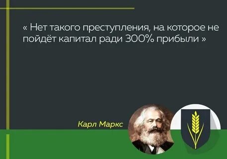 Ради 300