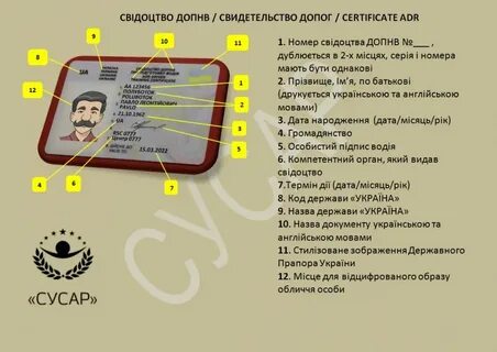 Что такое допог у водителей расшифровка