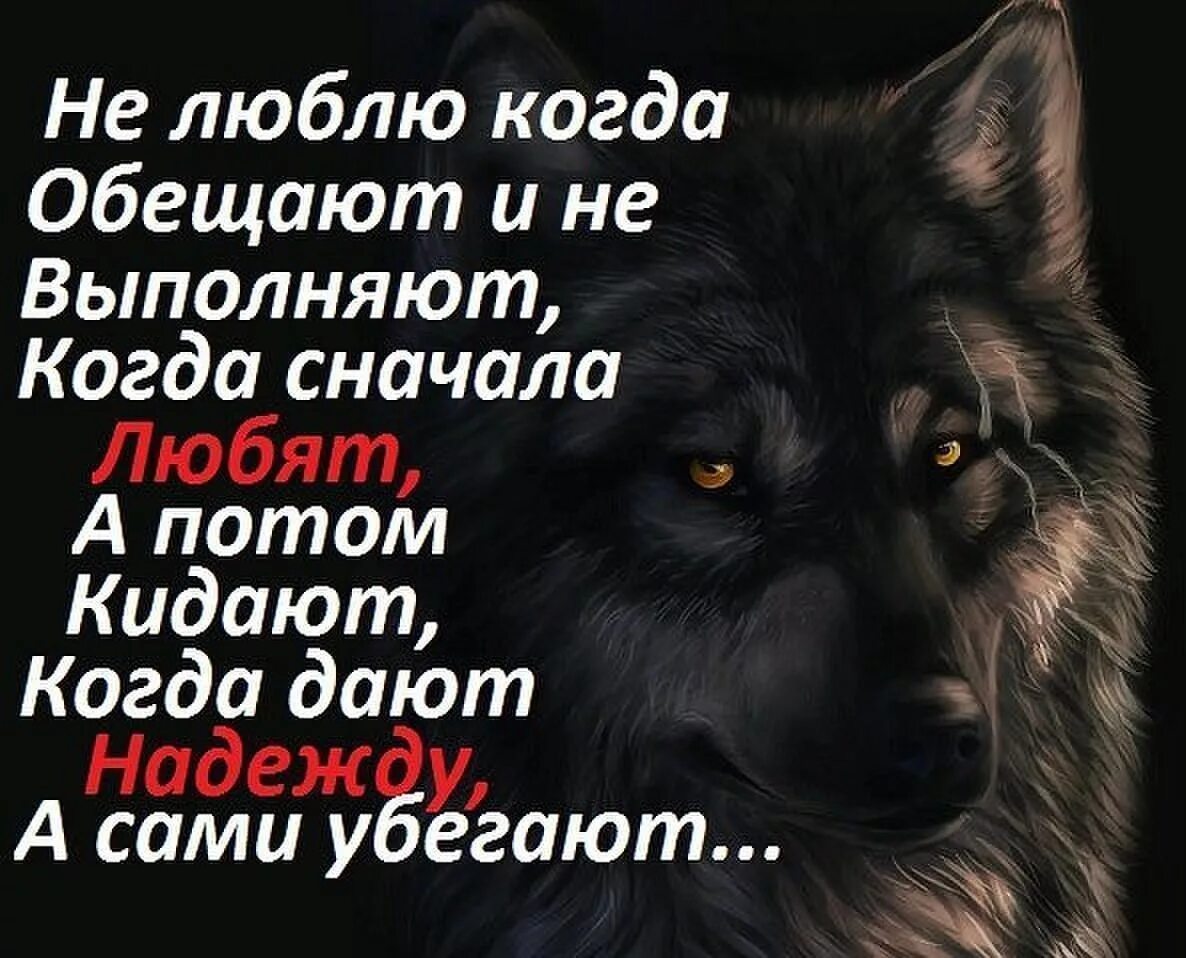 Не приходи не обещай песня. Статусы с волками. Статусы про Волков. Красивые цитаты с волками. Волк умные цитаты.