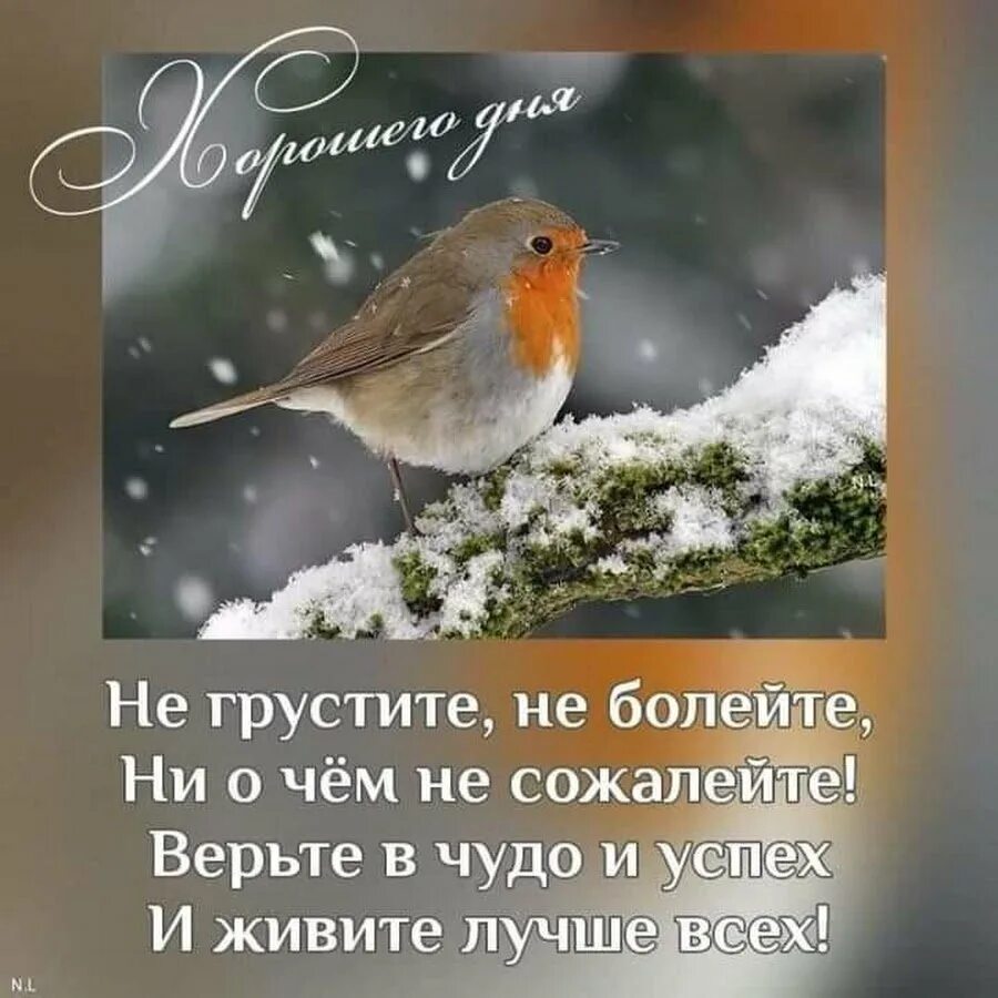 Доброе утро февраля с позитивом. С добрым зимним утром. доброе счастливое зимнее утро. доброго зимнего утра цитаты. с добрым морозным утром пожелания.