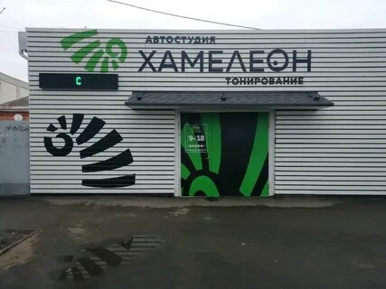 Хамелеон краснодар