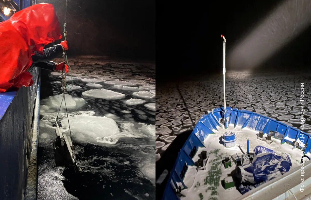 Пищевая цепочка арктической пустыни 4 класс окружающий мир. Экосистема баренцева моря. Экосистема баренцева моря. Богатство моря баренцева моря. Экосистема баренцева моря.